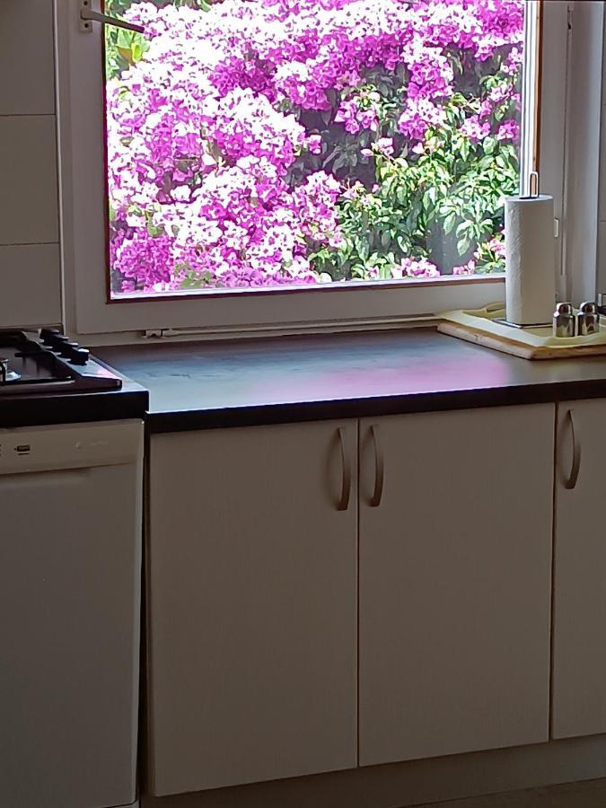 Apartments Sirius Korcula Town Luaran gambar